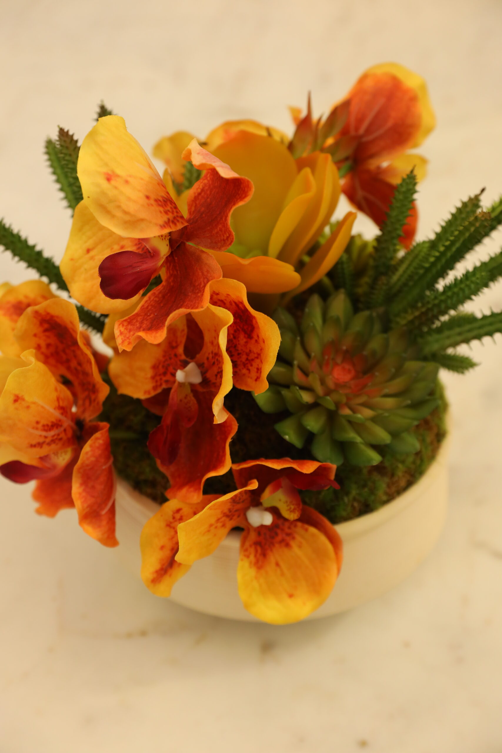 Exquisite Vanda & Succulents In Style Pot - Image 4