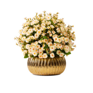 X-Large Wild Meadow Elegantly Arranged In Ceramic Vase