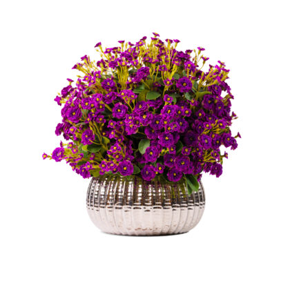 Wild Meadow Elegantly Arranged In Ceramic Vase