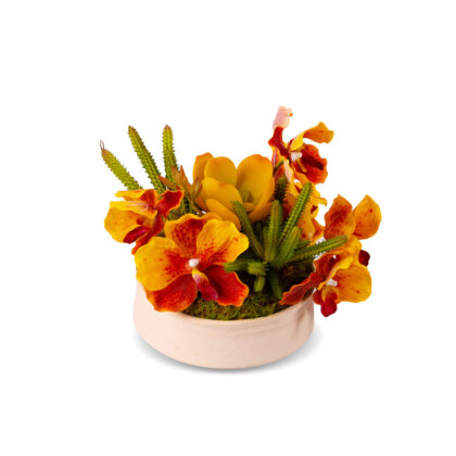 Exquisite Vanda & Succulents In Style Pot