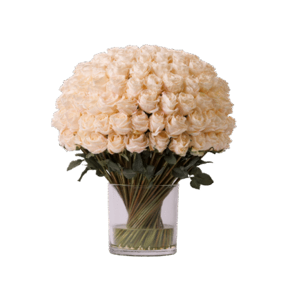 Signature Collection