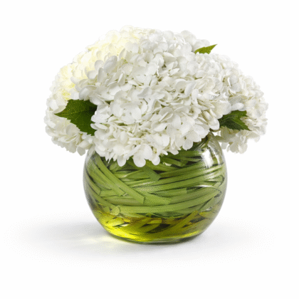 Real Touch  Hydrangeas Arrangement L-Size In Glass Vase