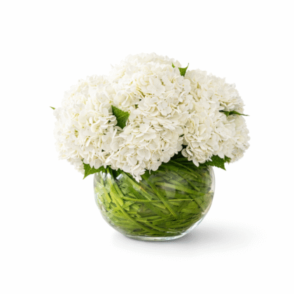 Hydrangeas Real-Touch Arrangement In XL- Size Glass Vase
