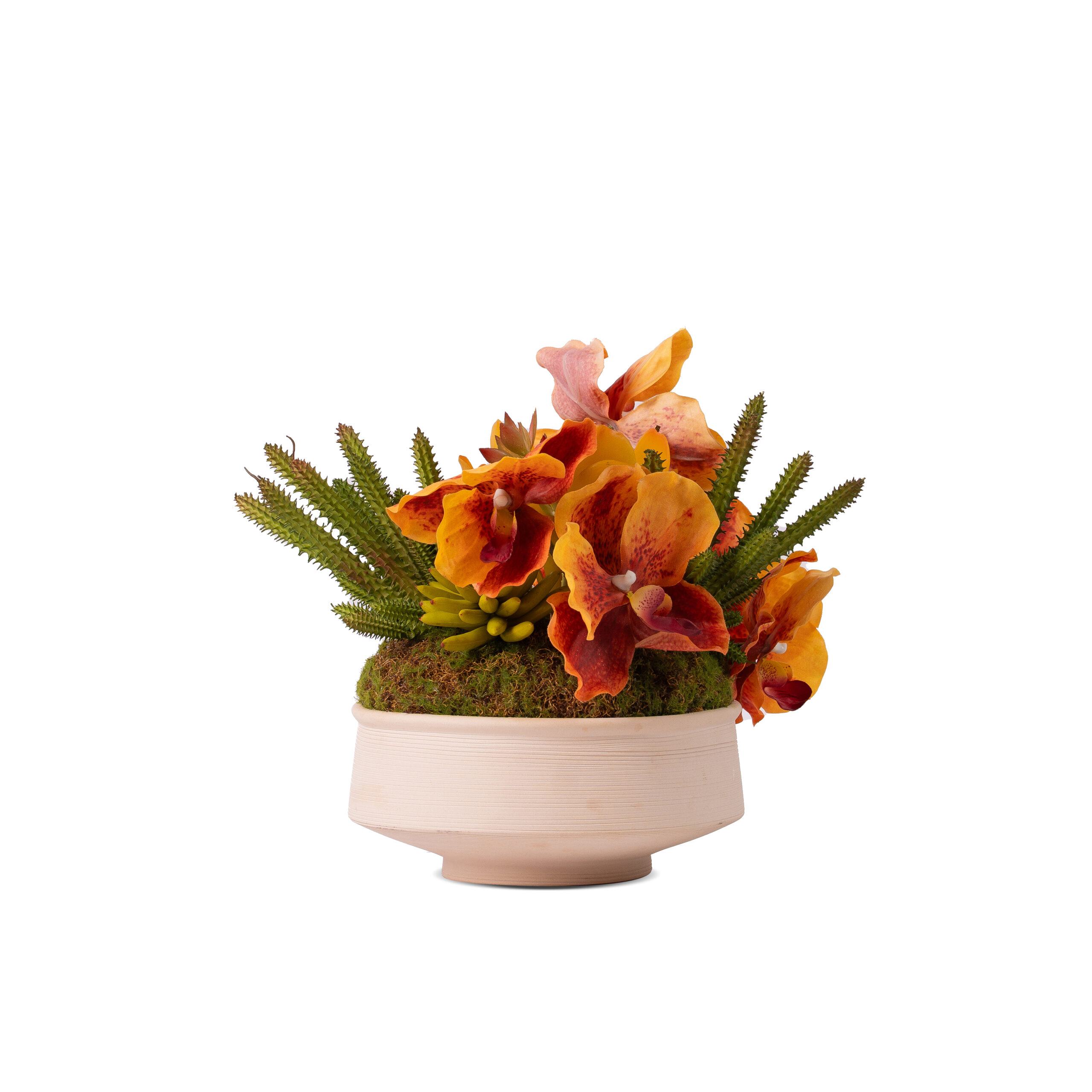 Exquisite Vanda & Succulents In Style Pot - Image 3