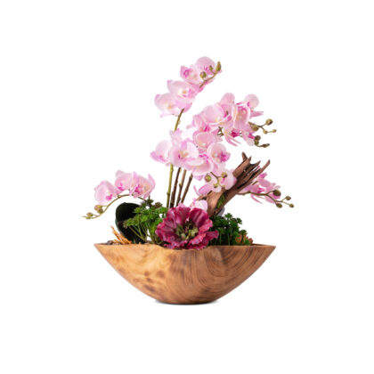 Orchids & Succulents Arrangement in Wooden Pot