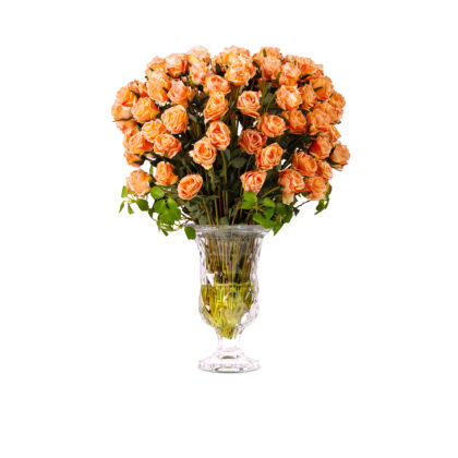 Classic Roses Arrangement In  L An Elegant Vase