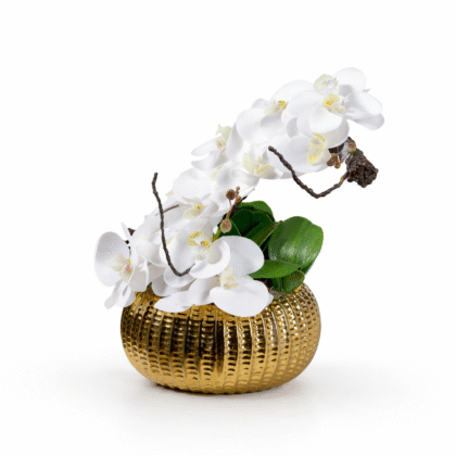 Orchids Vase Arrangement with butterfly in a Gold ceramic vase