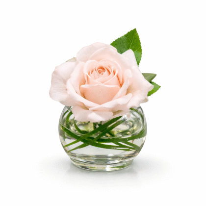 Mini Rose Vase