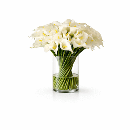 Calla lilis Arrangement In Glass Vase