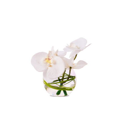 Mini orchid vase