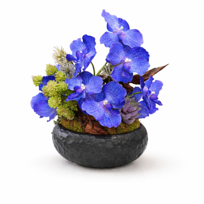 A bold Floral Arrangement of Vanda Orchids